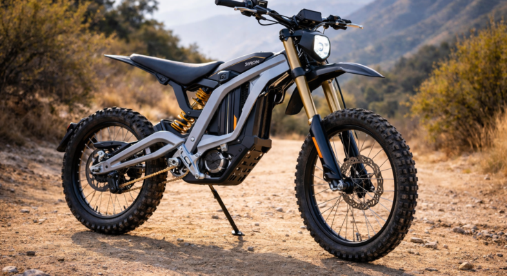 Sur Ron Light Bee review