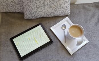 Samsung Galaxy Tab S10 FE X520 WiFi – A Perfect Balance of Power and Simplicity