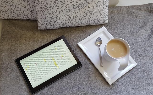 Samsung Galaxy Tab S10 FE X520 WiFi – A Perfect Balance of Power and Simplicity