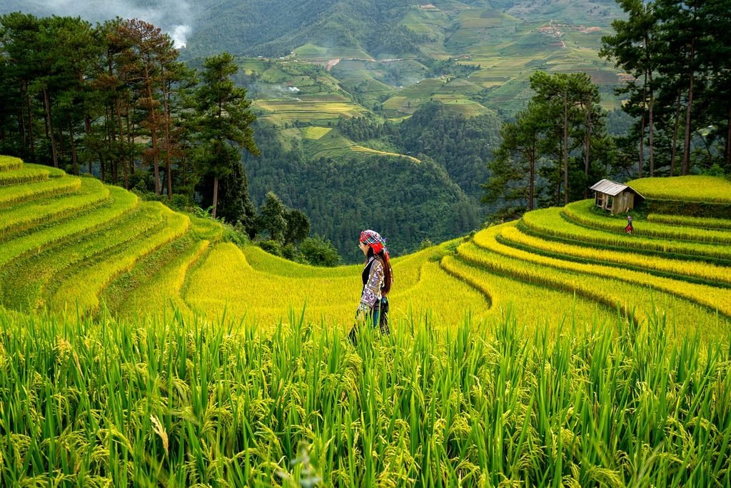 Best Farming Games for Relaxing Gameplay
