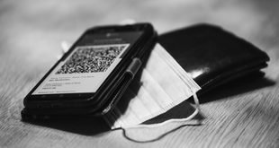 How QR Codes Store and Share Information